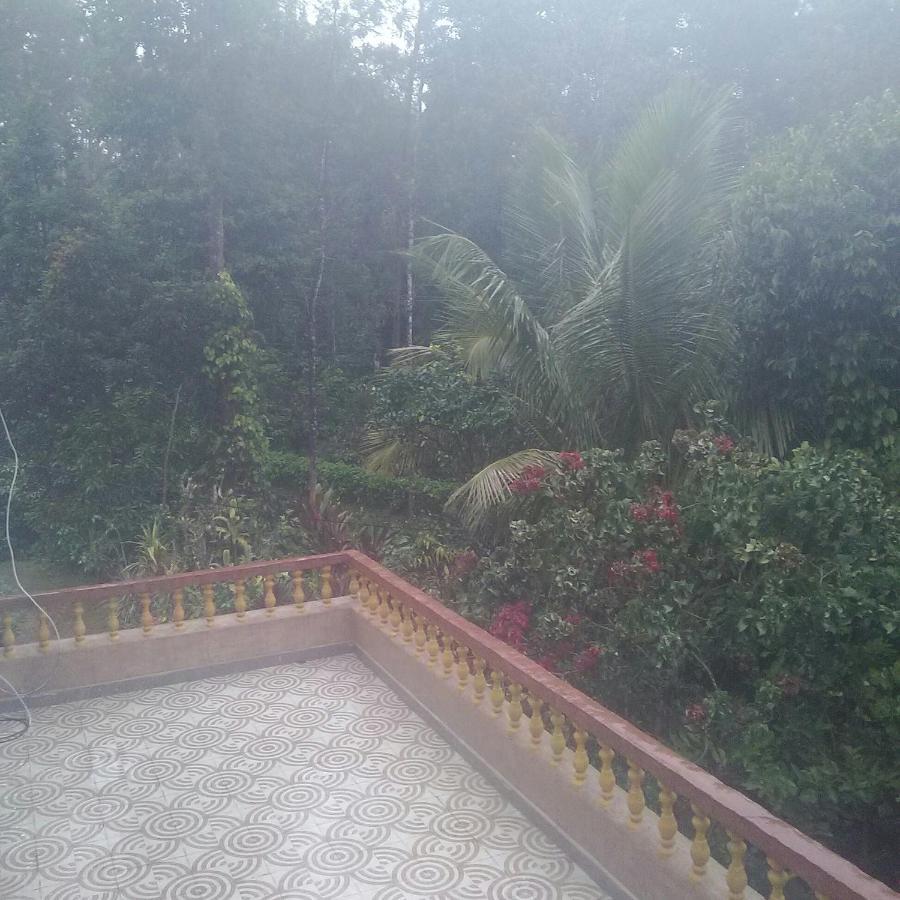 Hill Side Estate Apartment Madikeri Ngoại thất bức ảnh