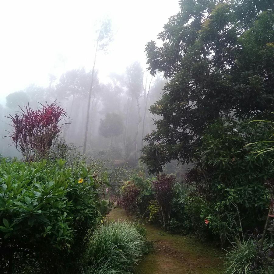 Hill Side Estate Apartment Madikeri Ngoại thất bức ảnh